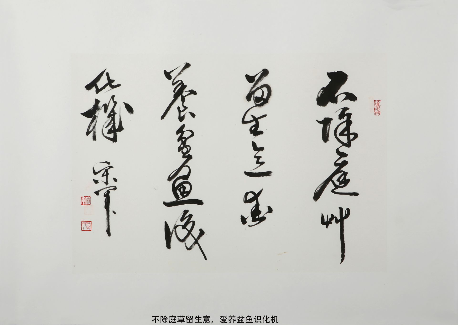 ξ鷨Ʒͥ ʶ